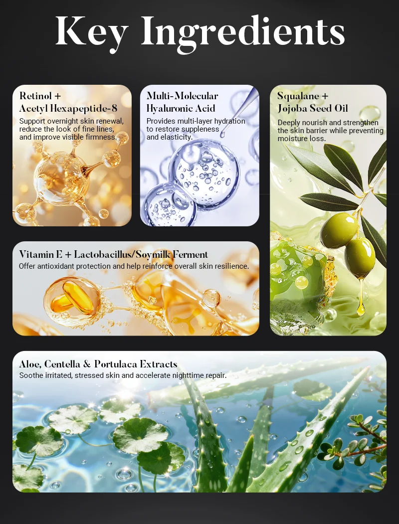 Infographic showing key skincare ingredients: Retinol, Hyaluronic Acid, Squalane, Vitamin E, and botanical extracts.